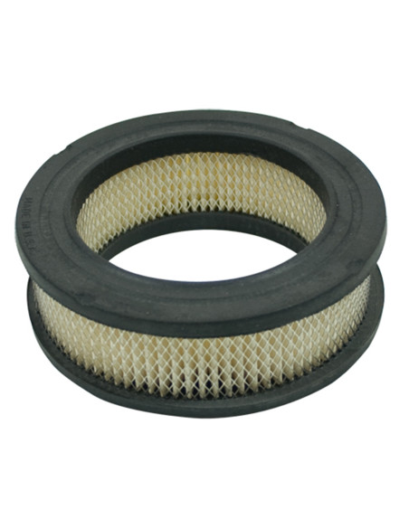 Filtre à air TECUMESH 30804