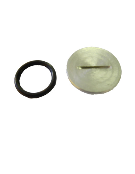 Bouchon d'huile Partner R16-P55