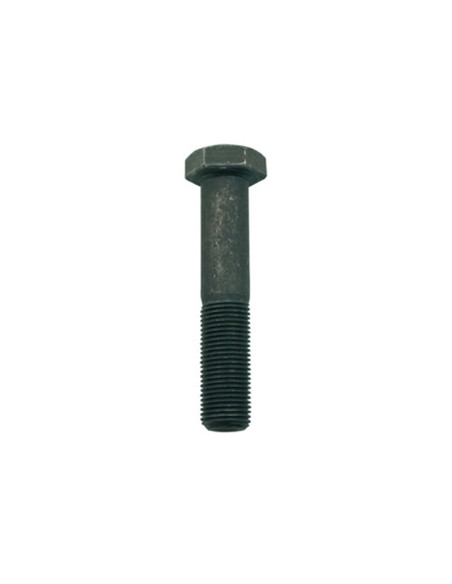 Vis pour support de lames ø : 9,5mm x 51mm