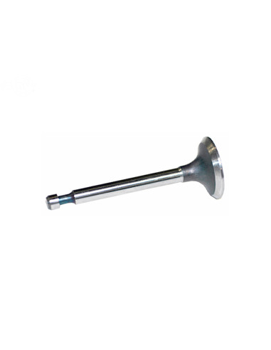 Soupape Admission Briggs &amp; Stratton 262247