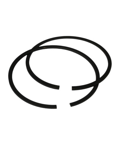 Segments Briggs &amp; Stratton 391780 - 394665 - 499996 - 394959 - 393277