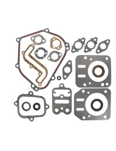 Pochette de joints Briggs &amp; Stratton 791797 pour moteur série 126300