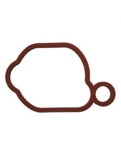 Joint de boitier de filtre à air Briggs &amp; Stratton 799580 pour 450E