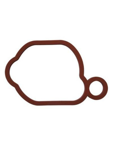 Joint de boitier de filtre à air Briggs &amp; Stratton 799580 pour 450E