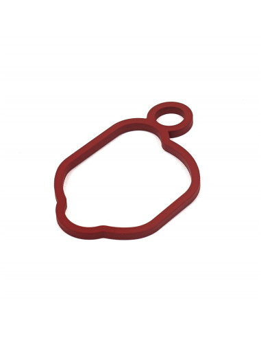 Joint de boitier de filtre à air Briggs &amp; Stratton 799580 pour 450E