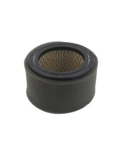 Filtre à air Kubota T120, T250, T320, T350, 5 CV - 13907-11210