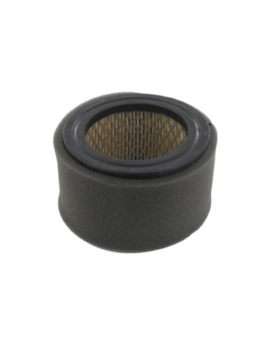 Filtre à air Kubota T120, T250, T320, T350, 5 CV - 13907-11210