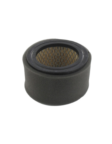 Filtre à air Kubota T120, T250, T320, T350, 5 CV - 13907-11210