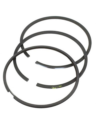 Segments Briggs &amp; Stratton 499425
