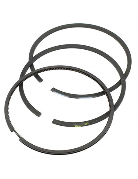 Segments Briggs &amp; Stratton 499425