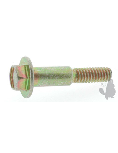 Vis pour démarreur Tecumseh 37425 Ref.  PM00650