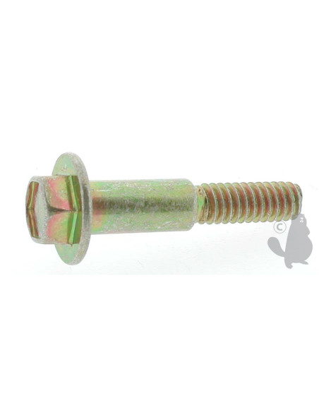 Vis pour démarreur Tecumseh 37425 Ref.  PM00650