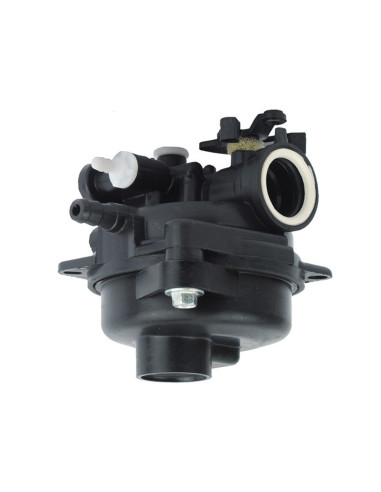 Carburateur pour Briggs 591979, 595656 pour Série 300E, 450E