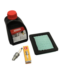 Kit révision moteur Honda GCV135 - GCV160 - GCV190 2