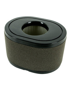 Filtre à air Loncin pour LC2P77F-LC2P80F-LC2P82F - 180100109