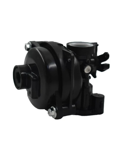 Carburateur d'origine Briggs&amp;Stratton BS590556 BS-590556