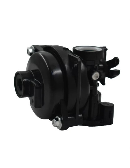 Carburateur d'origine Briggs&amp;Stratton BS590556 BS-590556