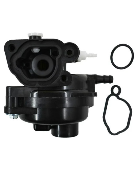 Carburateur d'origine Briggs&amp;Stratton BS590556 BS-590556