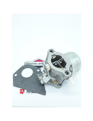 Carburateur complet EX.495780 696461 BS692684 pièce d'origine