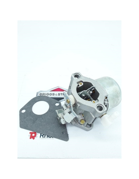 Carburateur complet EX.495780 696461 BS692684 pièce d'origine