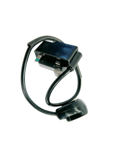 Bobine allumage pour Stihl FS120, FS200, FS250 - 41344001312 2