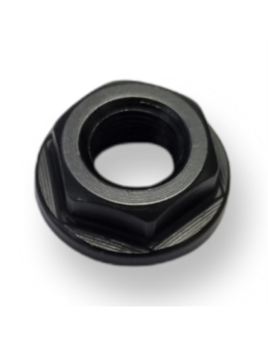 Ecrou de fixation lame pour sécateur Blue Bird PS22-40