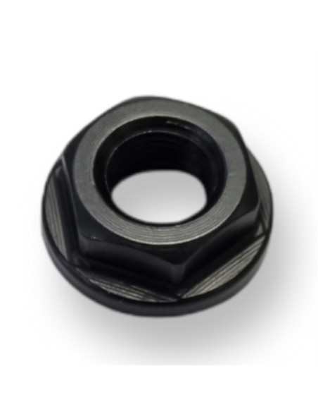 Ecrou de fixation lame pour sécateur Blue Bird PS22-40