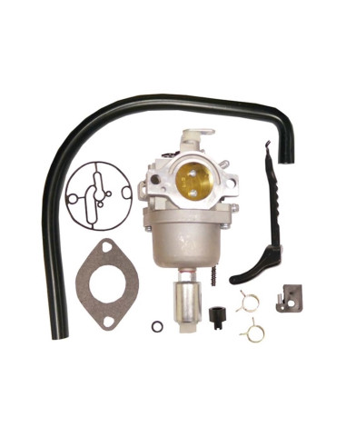 Carburateur pour Briggs &amp; Stratton Rempl. 690194, 799727