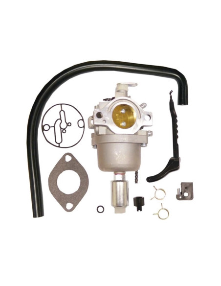 Carburateur pour Briggs &amp; Stratton Rempl. 690194, 799727