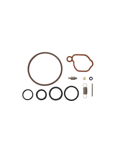 Kit carbu Briggs &amp; Stratton 590589 pour Modèle 08P et 09P