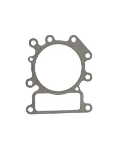 Joint Culasse pour Briggs &amp; Stratton 794114