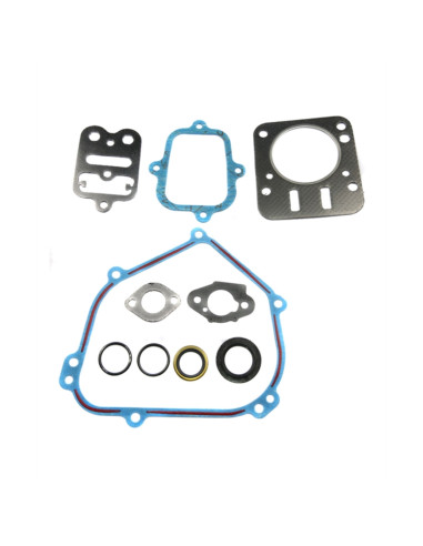 Kit joints Briggs &amp; Stratton 798540