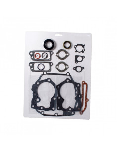 Pochette joints pour Briggs &amp; Stratton 590508 - 493263 - 496117