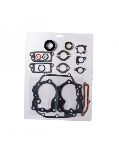 Pochette joints pour Briggs &amp; Stratton 590508 - 493263 - 496117