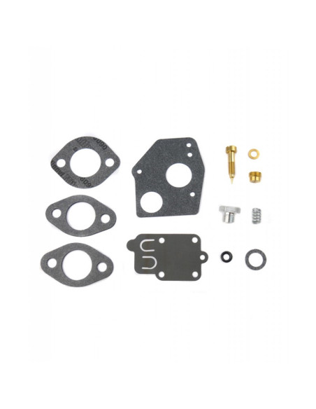 Kit révision carburateur Briggs &amp; Stratton  Pulsa Jet