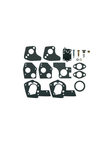 Kit réparation carburateur Briggs &amp; Stratton 495606, 494624
