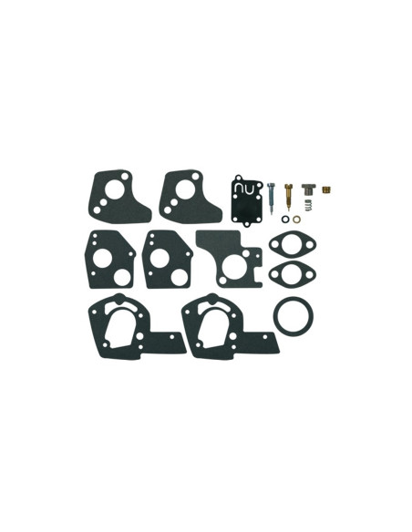 Kit réparation carburateur Briggs &amp; Stratton 495606, 494624