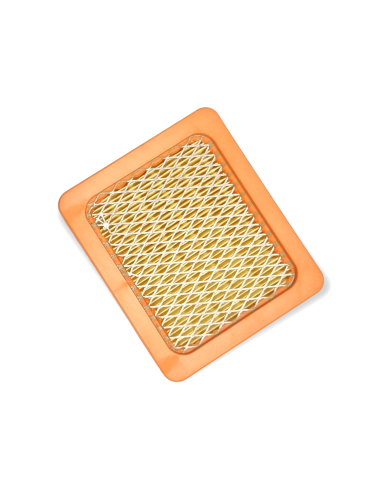 Filtre à air LONCIN L66150715 180130178-0001 pour LC1P61/65/70