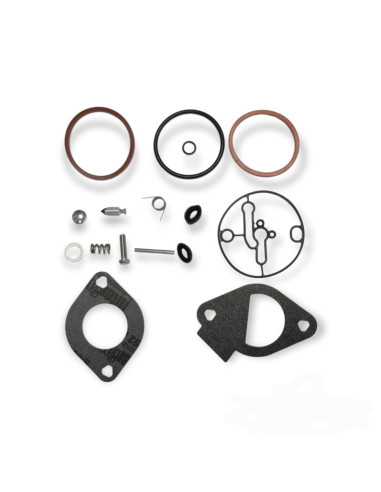 Kit Briggs &amp; Stratton 698787, 790032, 796184, 699521 pour carburateur