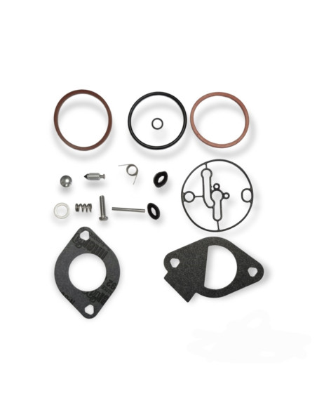 Kit Briggs &amp; Stratton 698787, 790032, 796184, 699521 pour carburateur