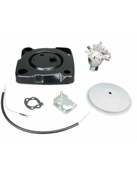 Carburateur complet pour moteur VANGUARD 305777 (EX 846108 / 808728)