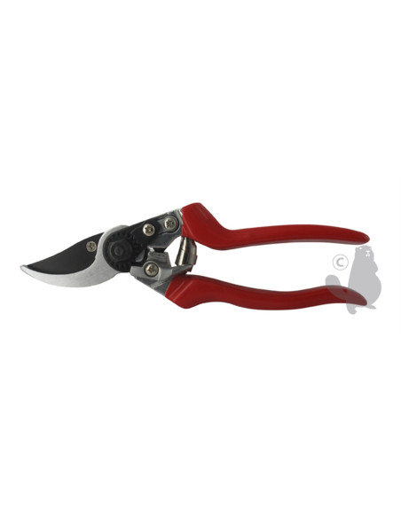 Sécateur professionnel à lame tirante