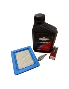 Kit révision moteur Briggs et Stratton série 625E 650E 675E 