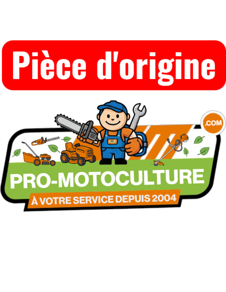 Réservoir d' ORIGINE BRIGGS & STRATTON référence : 495912 - 298465 - 391694