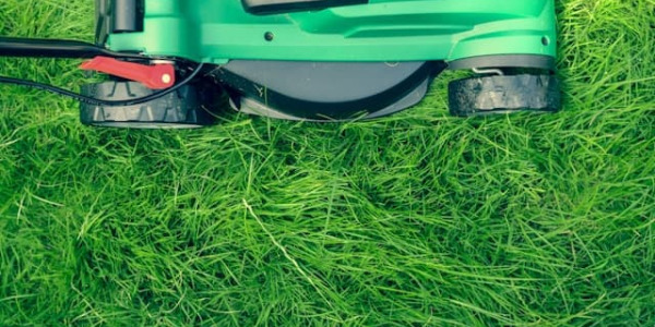 Préparer sa tondeuse après l’hiver : check complet du filtre à air, filtre essence et lames tracteur tondeuse