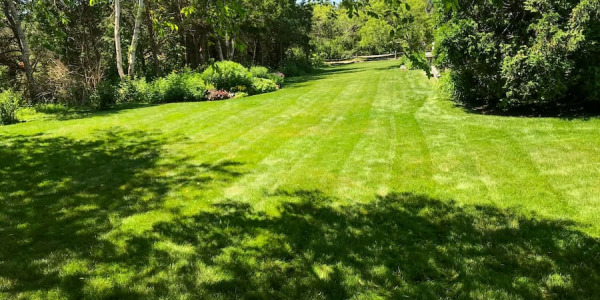 Pourquoi votre tracteur tondeuse ne démarre plus ? Diagnostic du démarreur tracteur tondeuse et des pannes fréquentes