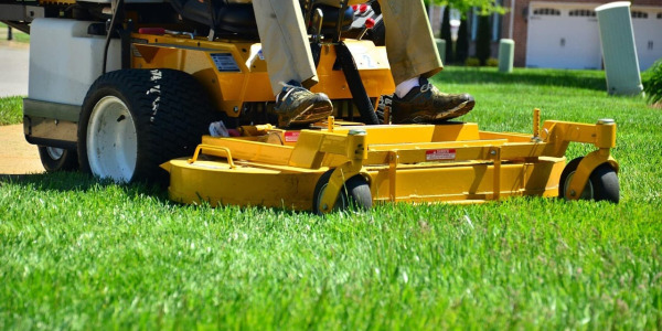 Lame tondeuse : mulching ou classique, laquelle choisir ?