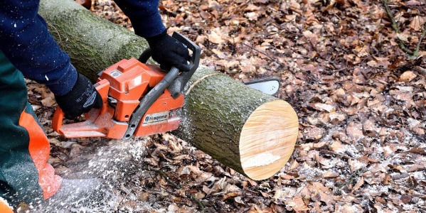 Tronçonneuse qui ne coupe plus droit : chaîne, guide ou pignon en cause ?